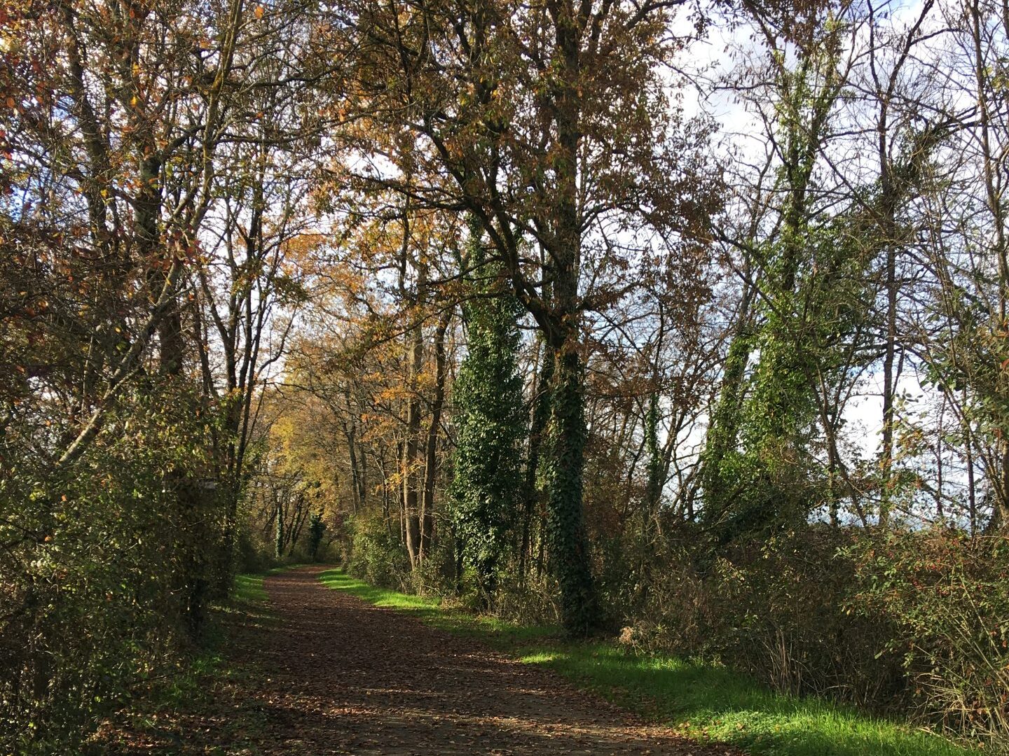 Voie verte de l'Armagnac - Chemin de Saint-Jacques de compostelle dans le Gers